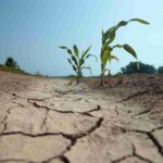 Sequía Catalunya 2024