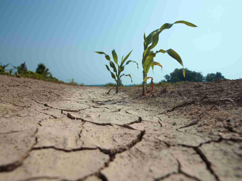 Sequía Catalunya 2024