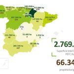 Dades certificació PEFC Espanya