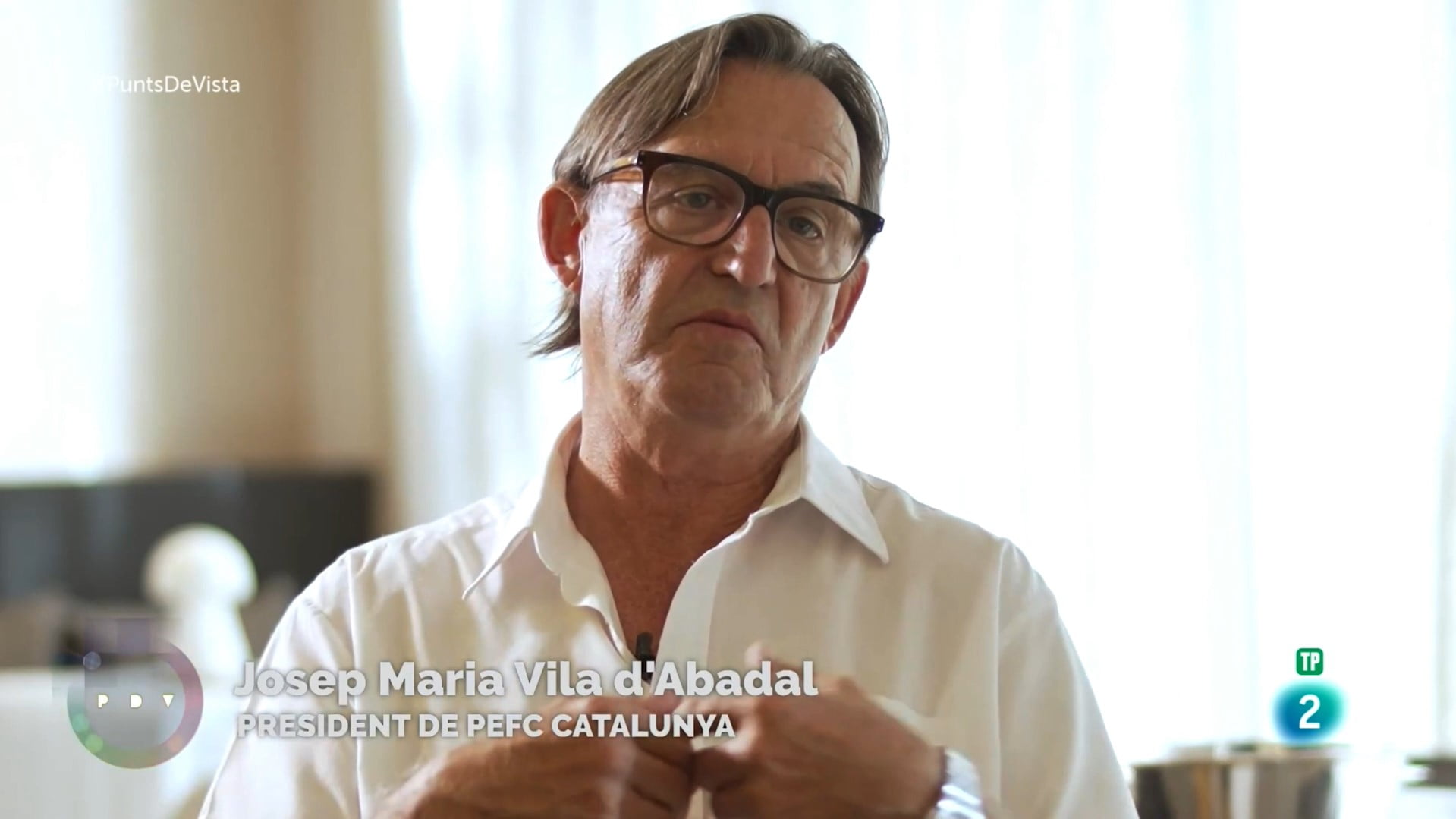 El president Josep Maria Vila d'Abadal en RTVE